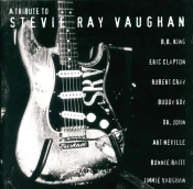 Stevie Ray Vaughan - A Tribute To Stevie Ray Vaughan