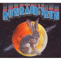 Sufjan Stevens - Run Rabbit Run