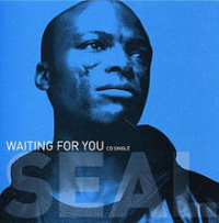 Seal - Waiting For You