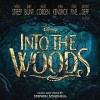 Into The Woods (film)