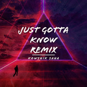 Kowshik Saha - Just Gotta Know (Remix)
