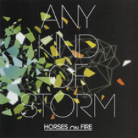 Horses On Fire - Any kind of storm