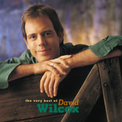 David Wilcox - The Very Best Of