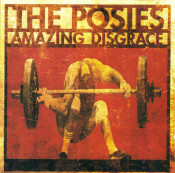 The Posies - Amazing Disgrace