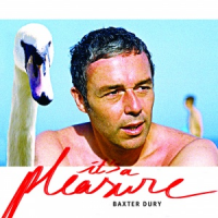 Baxter Dury - It's a Pleasure