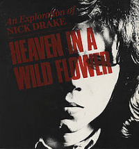 Nick Drake - Heaven In A Wild Flower