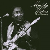 Muddy Waters - Mean Mistreater