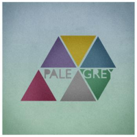 Pale Grey - Put Some Colors