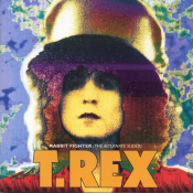 T. Rex - Rabbit Fighter