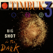 Timbuk 3 - Big Shot in the Dark