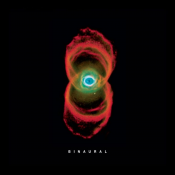 Pearl Jam - Binaural