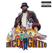 Kj - Incognito