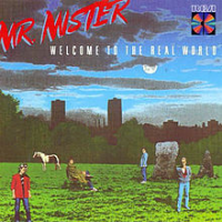 Mr. Mister - Welcome To The Real World