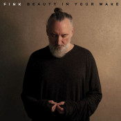 Fink - Beauty in Your Wake