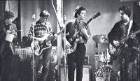 The 13th Floor Elevators