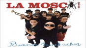 La Mosca (La Mosca Tsé-Tsé)