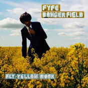 Fyfe Dangerfield - Fly Yellow Moon