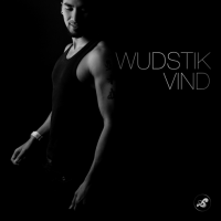 Wudstik - Vind