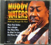Muddy Waters - Walking Through The Park