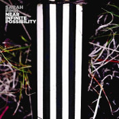 Sarah Fimm - Near Infinite Possibility