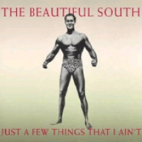 The Beautiful South - Just A Few Things That I Ain't