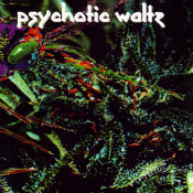 Psychotic Waltz - Mosquito