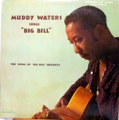 Muddy Waters - Muddy Waters Sings &quot;Big Bill&quot;