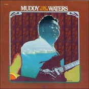 Muddy Waters - 'Unk' In Funk