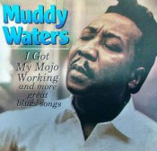 Muddy Waters - I Got My Mojo Working