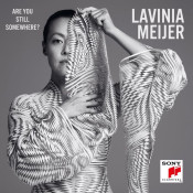 Lavinia Meijer - Are You Still Somewhere?