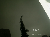 TAO - By My Window