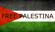 Ismo - Free Palestina