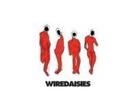 Wire Daisies - Wire Daisies