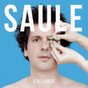 Saule - L'éclaircie