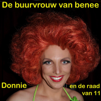 Donnie en de Raad van 11