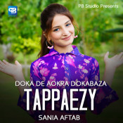 Sania Aftab - Doka De Aokra Dokabaza (Tappaezy)