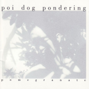 Poi Dog Pondering - Pomegranate