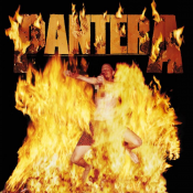 Pantera - Reinventing the Steel