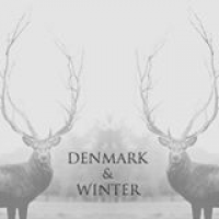 Denmark + Winter