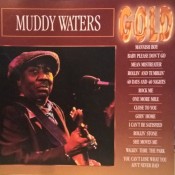 Muddy Waters - Gold