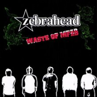 Zebrahead - Waste Of Mfzb