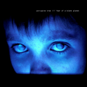 Porcupine Tree - Fear of a Blank Planet