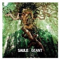 Saule - Géant