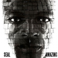 Seal - Amazing