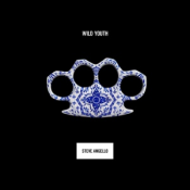 Steve Angello - Wild Youth