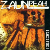 Zaunpfahl - Gesicht