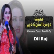 Dil Raj - Muhabbat Dumra Asan Na De