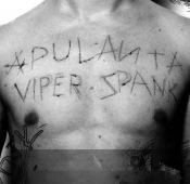 Apulanta - Viper Spank