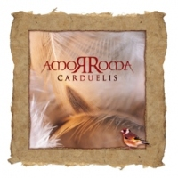 Amorroma - Carduelis