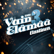 Elastinen - Vain Elämää